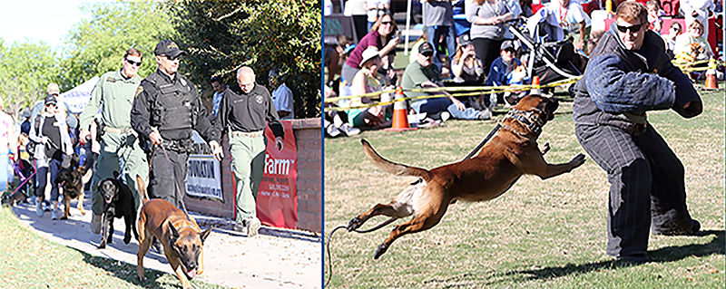 Canine Walk for Cops